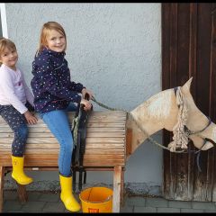 Ein weiteres Holzpferd mit Kindern