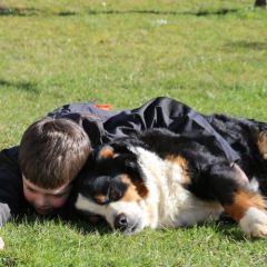 kuscheln mit Hund Lou