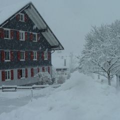 Wunderschöner Winterhof