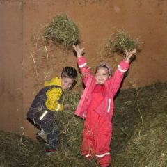 spielende Kinder im Heu